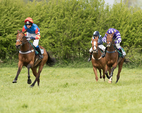 Pony Race 2  (7 of 27).jpg