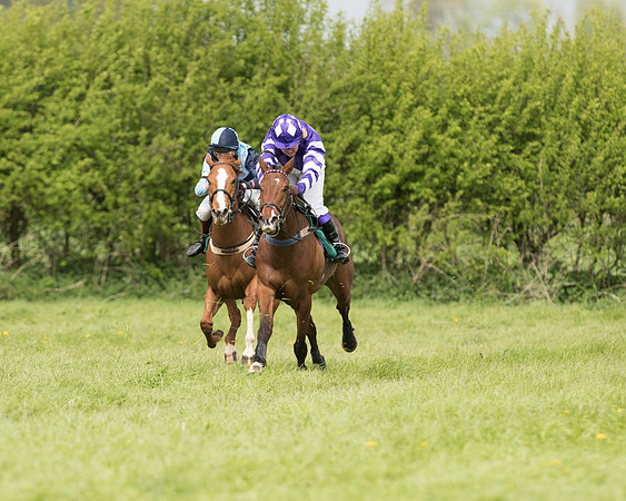 Pony Race 2  (8 of 27).jpg