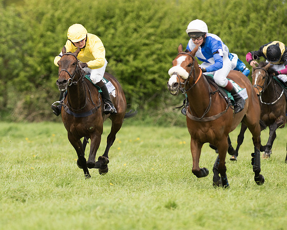 Pony Race 2  (13 of 27).jpg