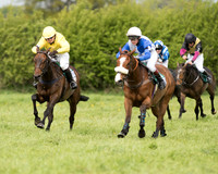 Pony Race 2  (14 of 27).jpg