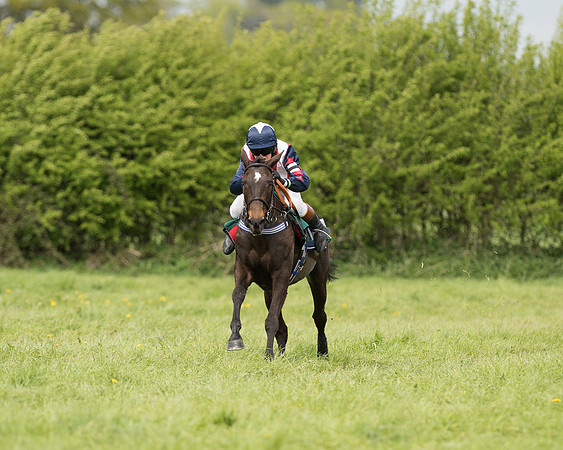 Pony Race 2  (19 of 27).jpg
