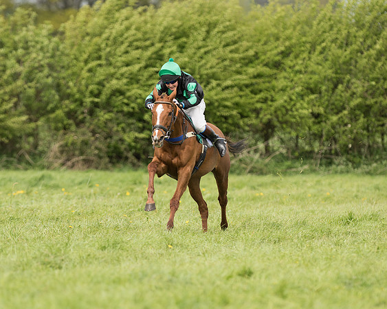 Pony Race 2  (21 of 27).jpg