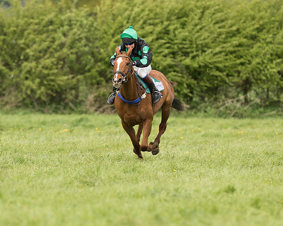 Pony Race 2  (22 of 27).jpg