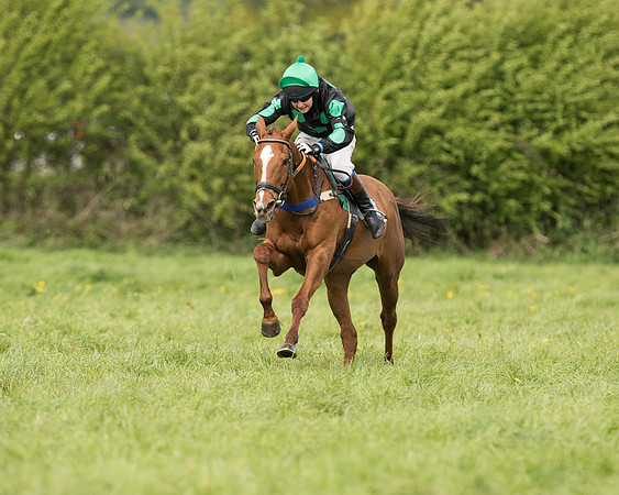 Pony Race 2  (23 of 27).jpg
