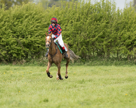 Pony Race 2  (24 of 27).jpg