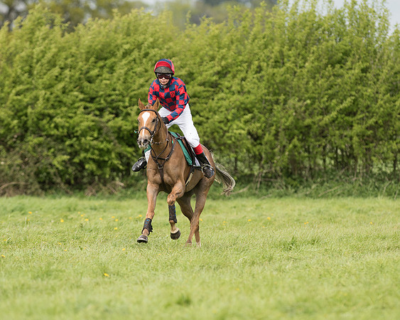 Pony Race 2  (25 of 27).jpg