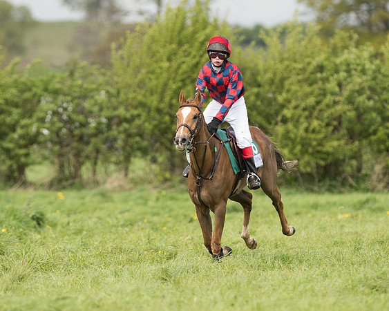 Pony Race 2  (26 of 27).jpg