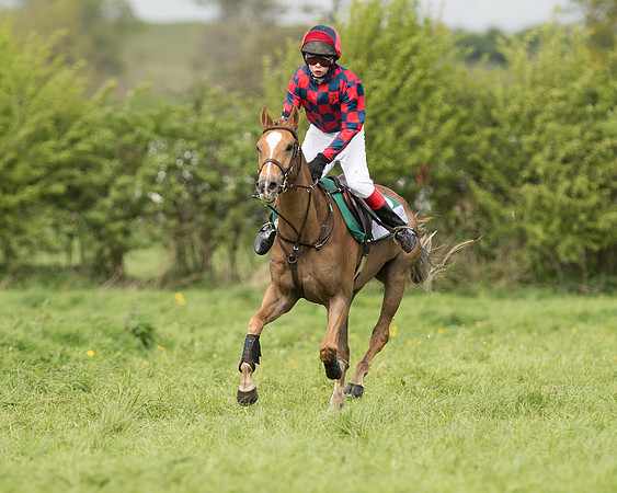 Pony Race 2  (27 of 27).jpg