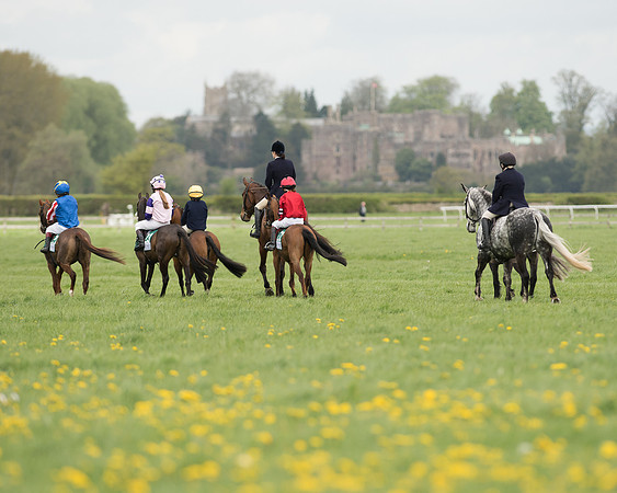 Pony Race 3 (4 of 24).jpg