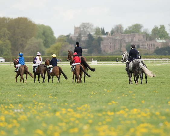 Pony Race 3 (5 of 24).jpg