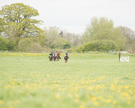 Pony Race 3 (6 of 24).jpg