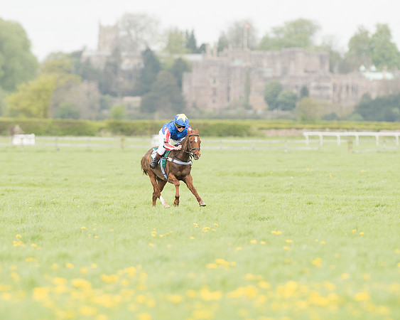 Pony Race 3 (7 of 24).jpg