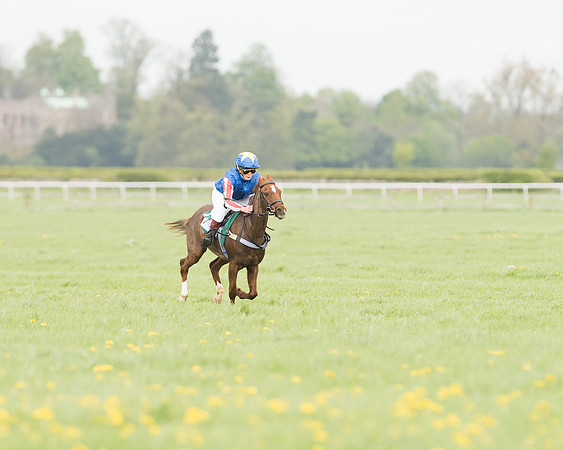 Pony Race 3 (8 of 24).jpg