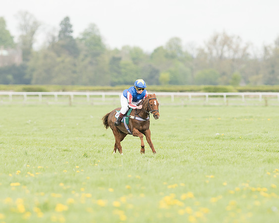 Pony Race 3 (9 of 24).jpg