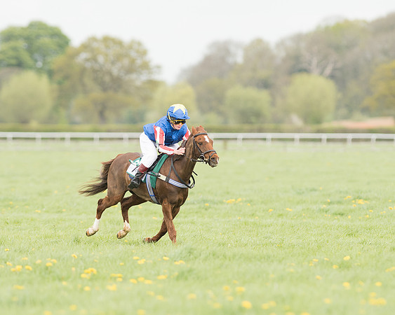 Pony Race 3 (10 of 24).jpg