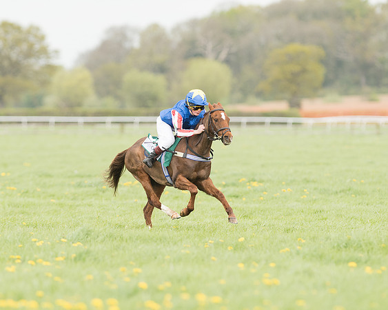 Pony Race 3 (11 of 24).jpg