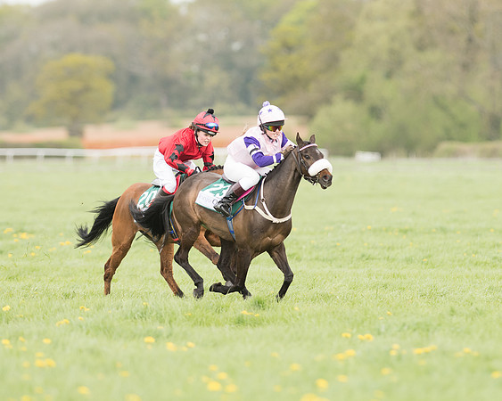 Pony Race 3 (13 of 24).jpg