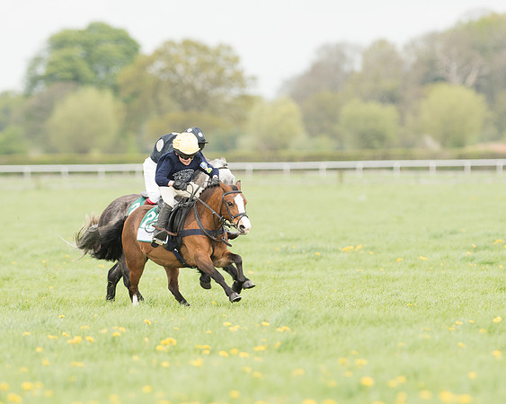 Pony Race 3 (16 of 24).jpg