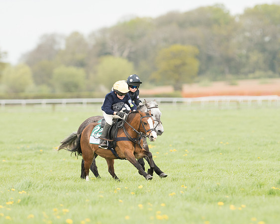 Pony Race 3 (18 of 24).jpg