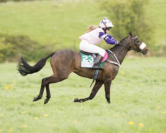Pony Race 3 (20 of 24).jpg