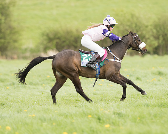 Pony Race 3 (21 of 24).jpg