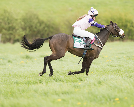 Pony Race 3 (22 of 24).jpg