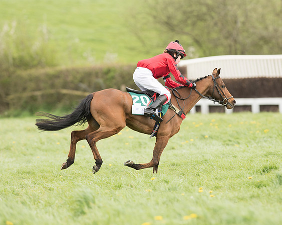 Pony Race 3 (23 of 24).jpg