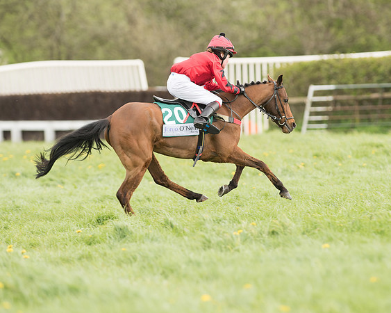 Pony Race 3 (24 of 24).jpg