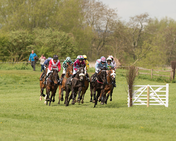 Race 1 - Young Horse Maiden (1 of 62).jpg
