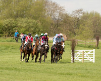 Race 1 - Young Horse Maiden (2 of 62).jpg