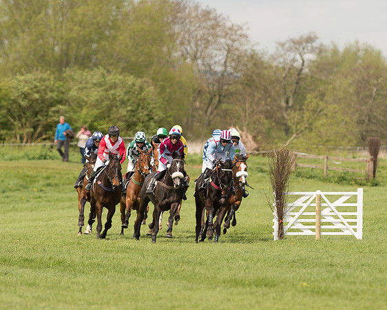 Race 1 - Young Horse Maiden (2 of 62).jpg