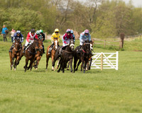 Race 1 - Young Horse Maiden (3 of 62).jpg