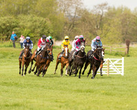 Race 1 - Young Horse Maiden (4 of 62).jpg
