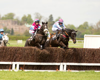 Race 1 - Young Horse Maiden (5 of 62).jpg