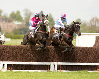 Race 1 - Young Horse Maiden (6 of 62).jpg