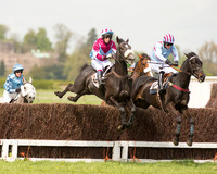 Race 1 - Young Horse Maiden (7 of 62).jpg
