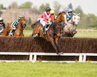 Race 1 - Young Horse Maiden (9 of 62).jpg