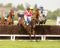 Race 1 - Young Horse Maiden (10 of 62).jpg