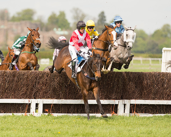 Race 1 - Young Horse Maiden (10 of 62).jpg