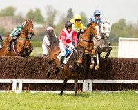 Race 1 - Young Horse Maiden (11 of 62).jpg