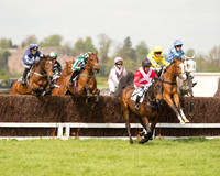 Race 1 - Young Horse Maiden (12 of 62).jpg