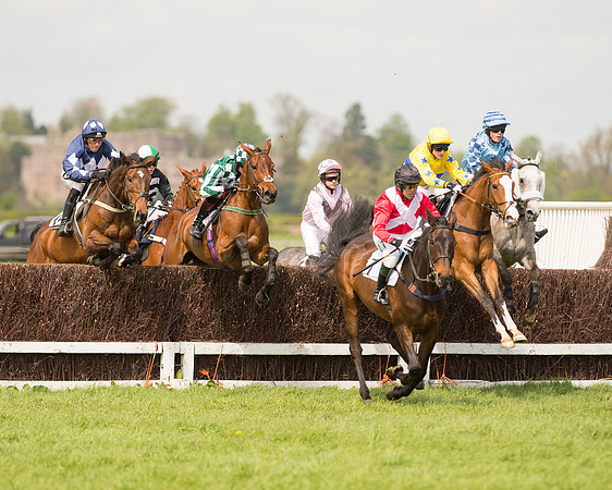 Race 1 - Young Horse Maiden (12 of 62).jpg