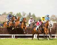 Race 1 - Young Horse Maiden (13 of 62).jpg