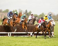 Race 1 - Young Horse Maiden (14 of 62).jpg