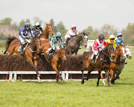 Race 1 - Young Horse Maiden (15 of 62).jpg