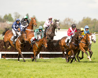 Race 1 - Young Horse Maiden (16 of 62).jpg