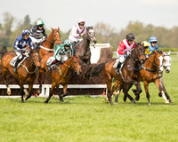 Race 1 - Young Horse Maiden (17 of 62).jpg