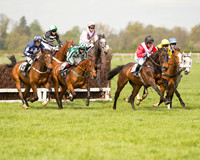 Race 1 - Young Horse Maiden (18 of 62).jpg