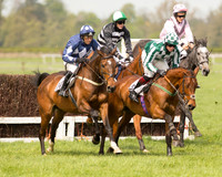 Race 1 - Young Horse Maiden (19 of 62).jpg