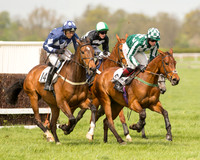 Race 1 - Young Horse Maiden (20 of 62).jpg